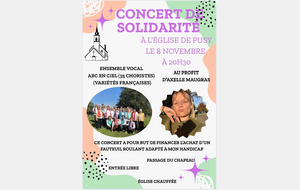 Sorties cinéma et concert proposées par des adhérents du club pour le financement d'actions solidaires.