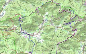 680245cd4813e_2504c01.JPG