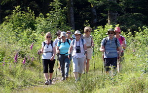 Le Groupe de Josiane.