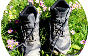 Le plaisir de marcher ensemble