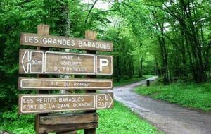 Rando à Besançon/forêt de Chailluz (25)