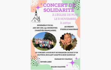 Sorties cinéma et concert proposées par des adhérents du club pour le financement d'actions solidaires.