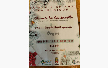 concert proposé par des adhérents du club