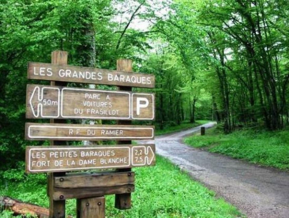 Rando à Besançon/forêt de Chailluz (25)