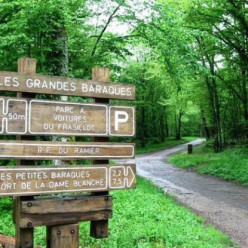 Rando à Besançon/forêt de Chailluz (25)